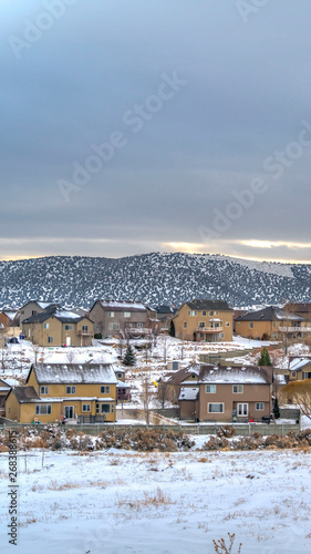 Clear Vertical Frosty town with homes that contrast with the blanket of snow in winter