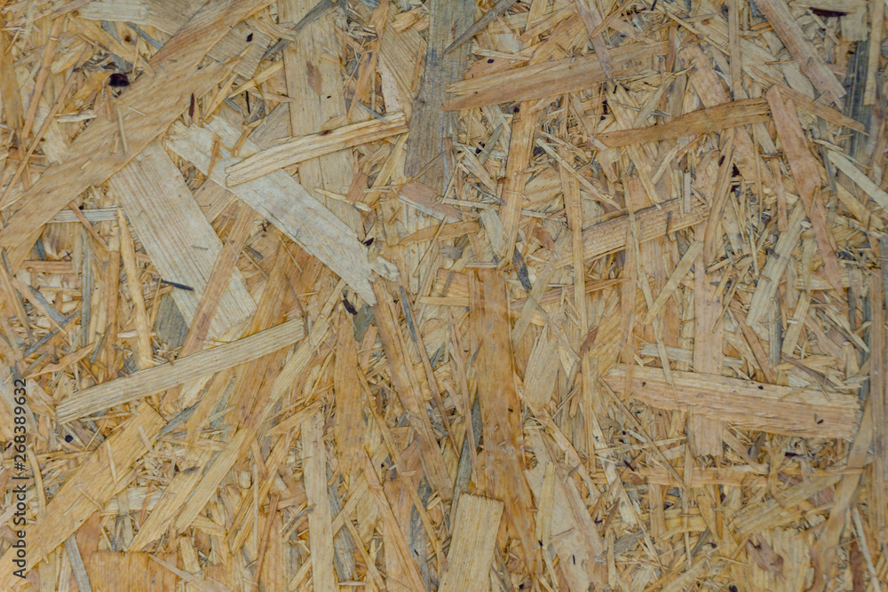 texture of wood texture of wood