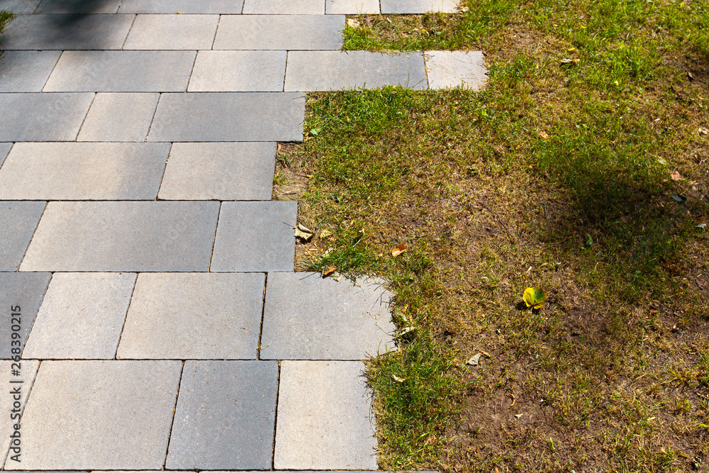 Obraz premium Grass sprouted in the intervals of paving slabs. The paving slabs are laid so as not to create a clear border with a lawn.
