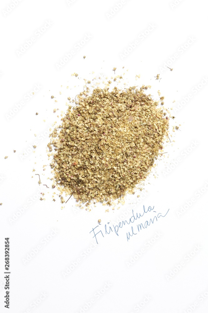 meadowsweet, mead wort (Filipendula ulmaria) meadowsweet, mead wort (Filipendula ulmaria)