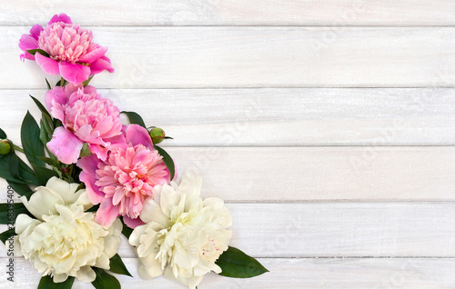Bouquet of pink and white peonies on background of white painted wooden planks with space for text. Top view, flat lay