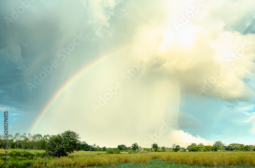rainbow and clouds over the Rice field.