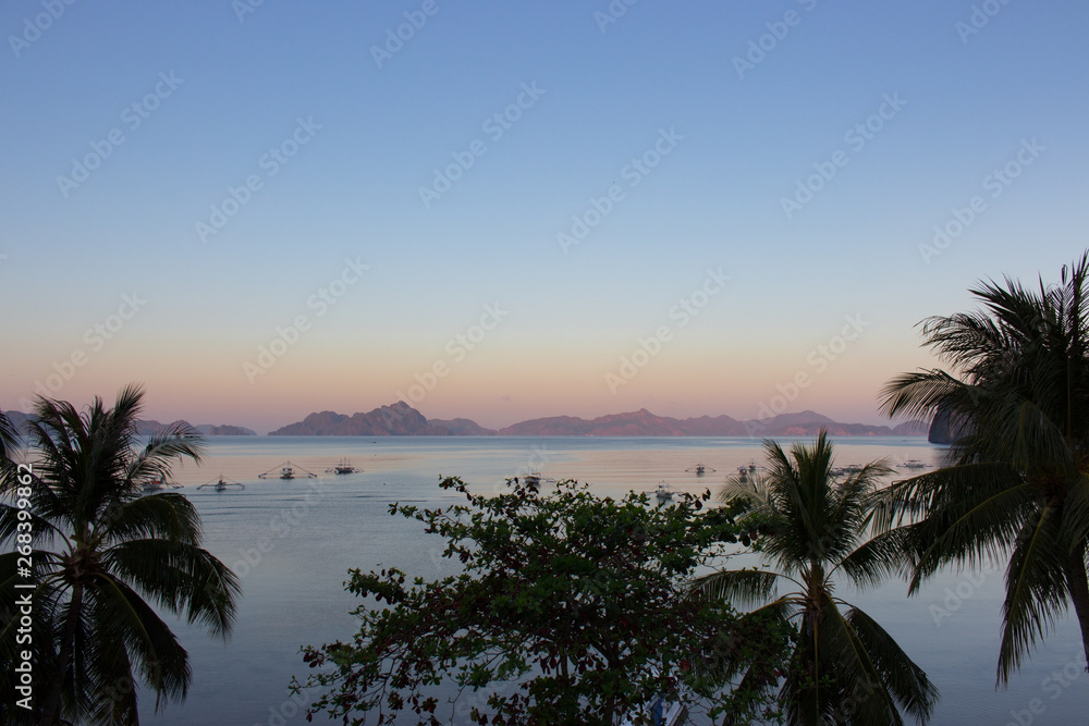 Morning on beach with trees and boats. Sunrise in Palawan, Philippines. Tropical isles in morning dusk with trees on foreground. Asian landscape with traditional philippines boats. Summer vacation.