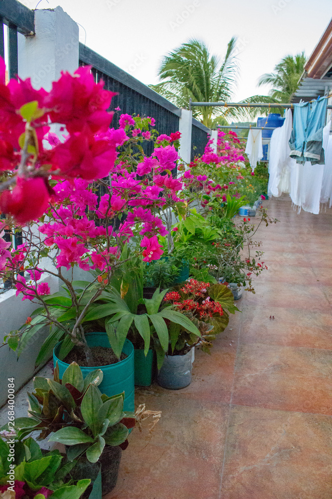 Drying linen on terrace with flower pots. Laundry on balcony with flowers. Household concept. Clean clothes on rope on outdoor terrace. Summer vacation. Tropical travel concept. 