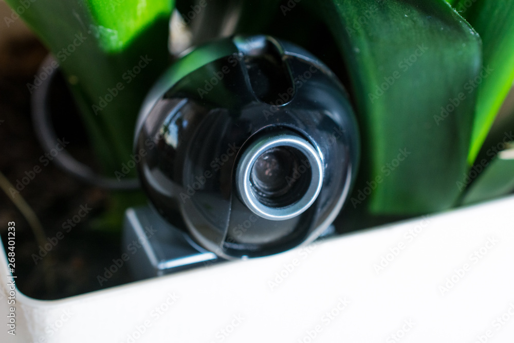 Webcam hidden in a flower pot for covert surveillance of the house.  Surveillance and security systems. Smart House. Espionage. Hidden camera  for watching Photos | Adobe Stock