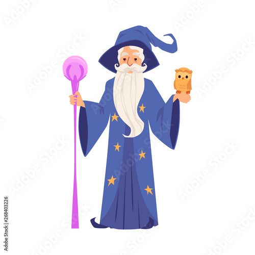 Old wizard man in robe and hat stands holding staff and owl cartoon style
