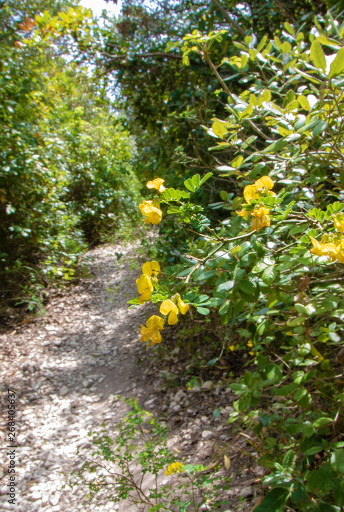 Obraz premium Mount Conero