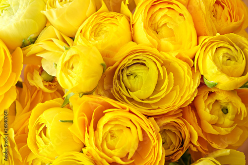 Fototapeta Naklejka Na Ścianę i Meble -  Macro shot of beautiful bouquet of yellow ranunculus flowers with visible petal texture structure. Close up composition with bright patterns of flower buds with a lot of copy space for text. Top view.