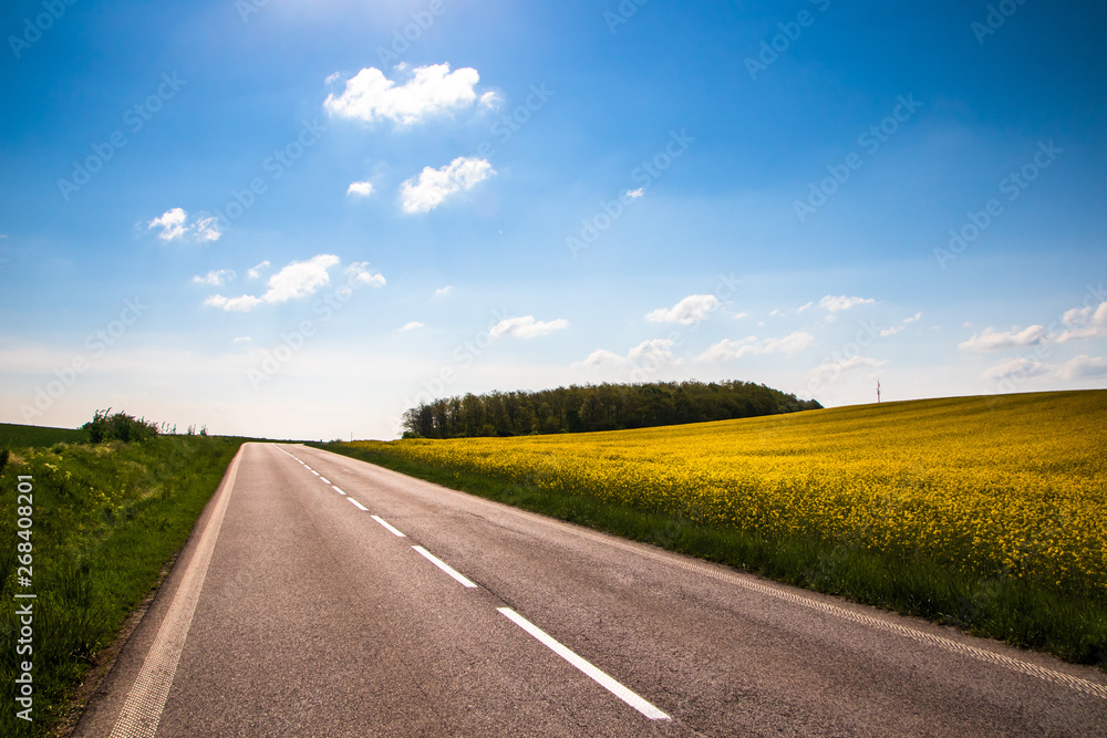 Yellow agriculture field of rapeseed or oilseed rape (Brassica napus) in bloom by the road