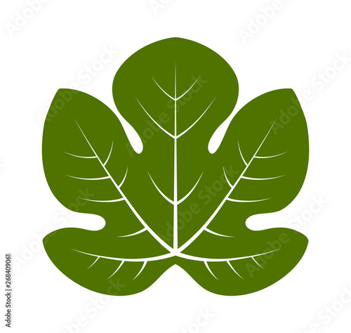fig leaf