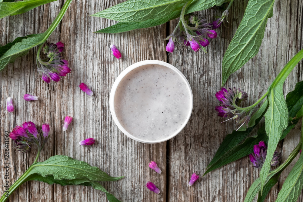 A jar of comfrey root ointment with fresh symphytum plant A jar of comfrey root ointment with fresh symphytum plant