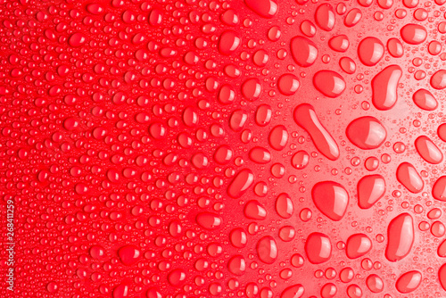 Droplets of water on a red  matte background illuminated with a delicate light.