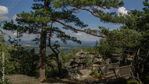 Ausblick ins Tal vom Wander Weg