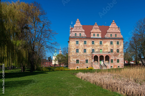 Castle in Polska Cerekiew, Poland