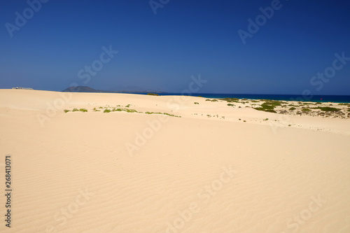 Sand Dunes and beach in National Park Corralejo  Fuerteventura.