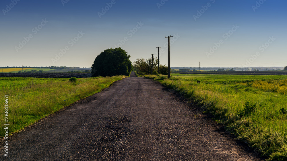 dirt road on a farm