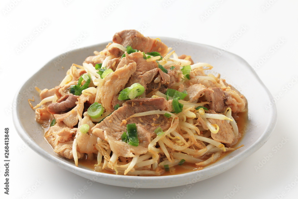 豚肉ともやしの炒め物 豚肉ともやしの炒め物