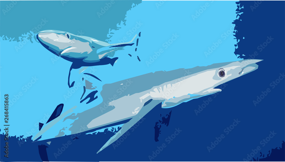 Fototapeta premium JAWS_PRINT_RONNIE_00001