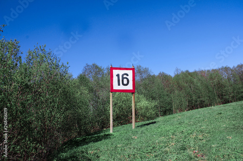 Unknown plate in the forest with the number 16