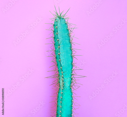 Cactus Green colored onPurple background. Fashion, minimalism. Contemporary Art gallery Style. Creative concept. Trendy tropical fashionable plant, pastel color. Surrealism