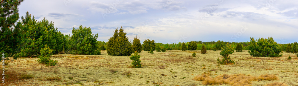 Obraz premium Spring views of Belarus