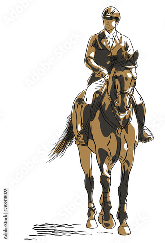 Vector illustration of a rider on a horse during the competition © irinamaksimova