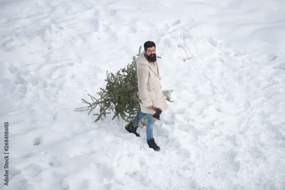 Man is going to cut a Christmas tree. Bearded man is carrying Christmas tree in the wood. Theme Christmas holidays winter new year. Modern Santa. New year party.