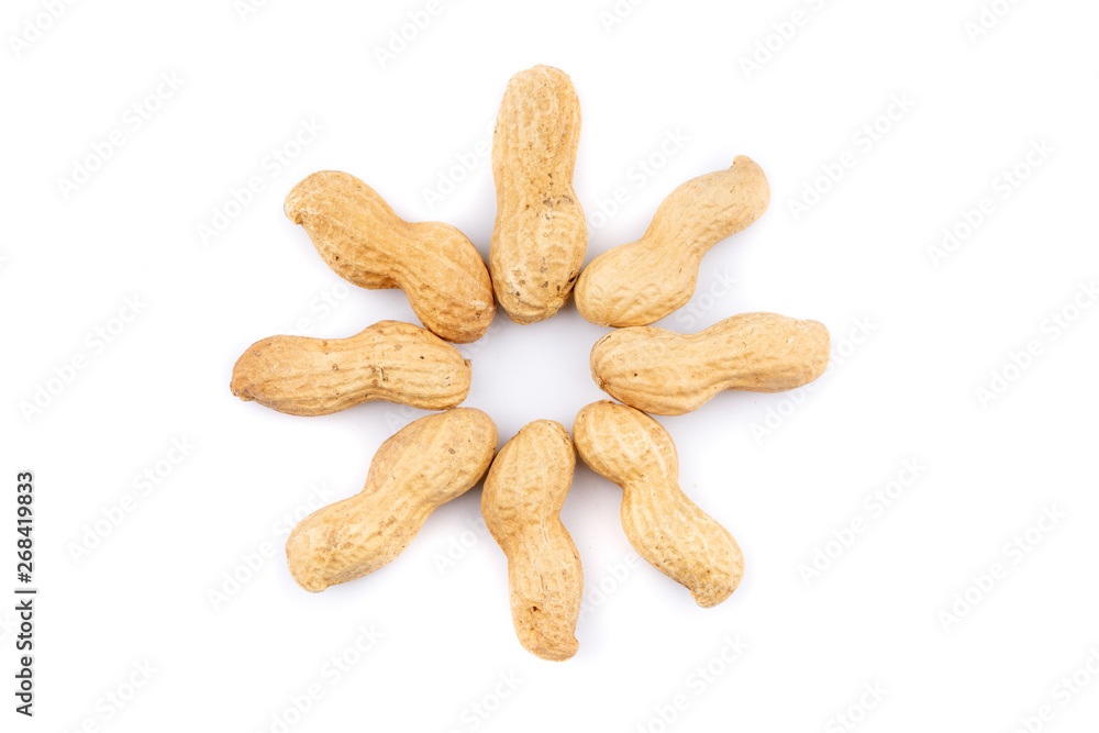 dried peanuts with shell on white background dried peanuts with shell on white background