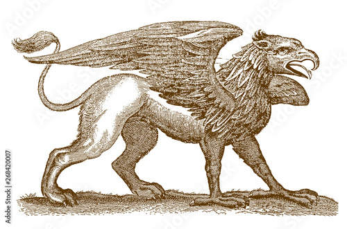 Legendary mythical hybrid creature griffin gryphon, spreading wings, after antique engraving from 17th century