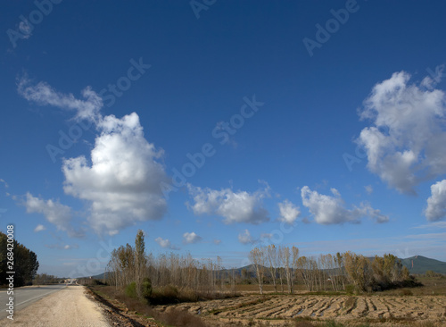 Fototapeta Naklejka Na Ścianę i Meble -  beautiful clouds formed on top of a land