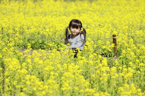 幼児(4歳児)と菜の花