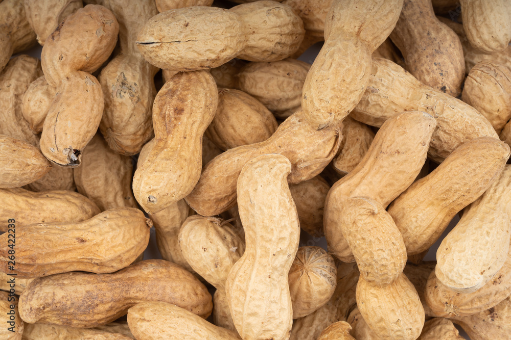 dried peanuts with shell on white background dried peanuts with shell on white background