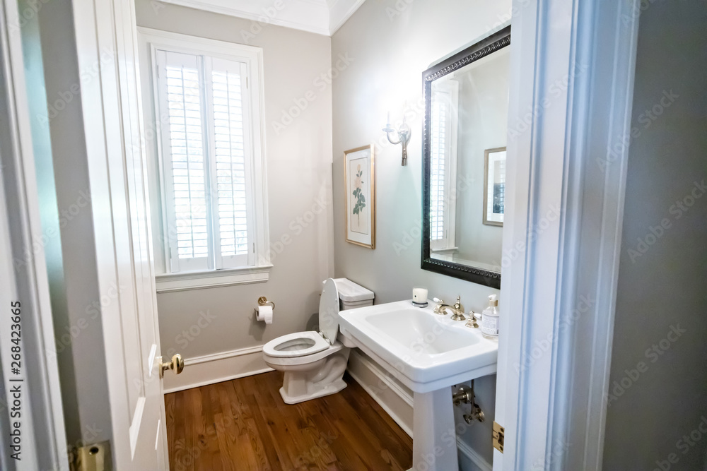 Guest bathroom with traditional sink Guest bathroom with traditional sink