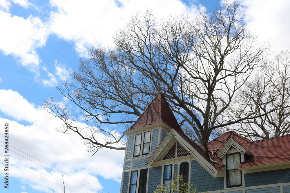 Rooftop of old wooden historic victorian home Rooftop of old wooden historic victorian home