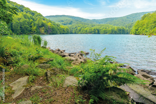 vihorlat lake slovakia. body of water among beech forest in mountains. popular destination in eastern europe. sunny summer weather with clouds on the sky photo