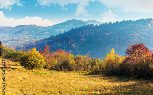 sunny autumn morning in countryside. fog in the distant valley. trees in fall foliage on the hillside. mountain range in the distance. bright weather with clouds on the sky