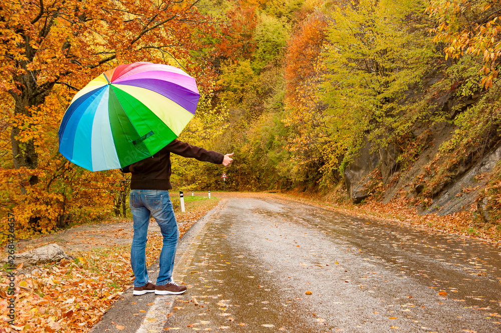 on a fall day, a woman at the side of the road, with her multicolored umbrella, awaits the arrival of a car