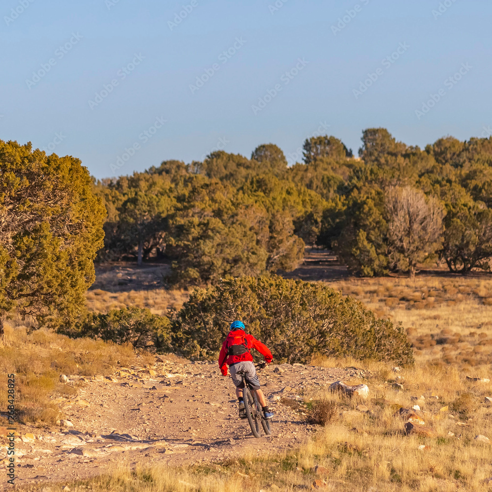 Clear Square Man riding a bicycle on an unpaved trail on a sunny day Clear Square Man riding a bicycle on an unpaved trail on a sunny day