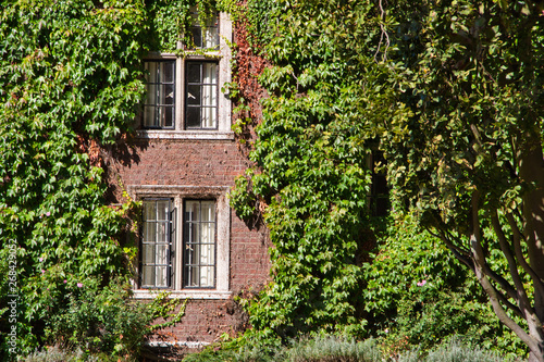 windows of a old college surrounded by green leaves