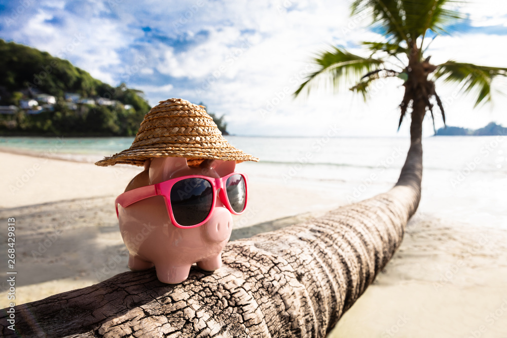 Pink Piggybank With Sunglasses On Tree Trunk At Beach