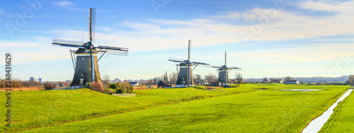 Rural landscape - view of green meadow on background of the mills on a sunny day, the Netherlands
