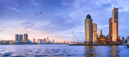 Fototapete Rotterdam Erasmusbrücke und Stadtteil Feijenoord Rotterdam  © rustamank