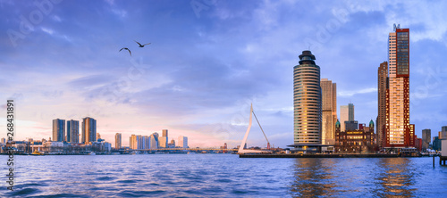 City Landscape, panorama - view on Erasmus Bridge and district Feijenoord city of Rotterdam, The Netherlands, banner photo