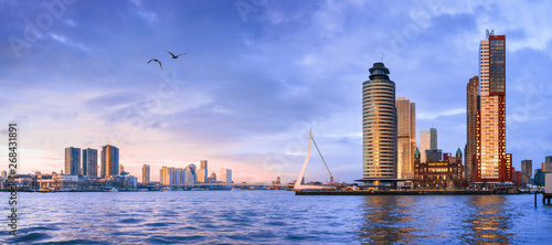 Obraz na płótnie City Landscape, panorama - view on Erasmus Bridge and district Feijenoord city of Rotterdam, The Netherlands, banner w salonie