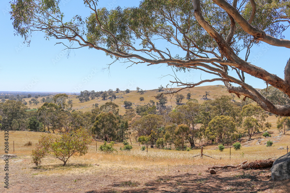 Fototapeta premium rural Australian view towards Sutton Grange valley in Central Victoria, Australia on a sunny day