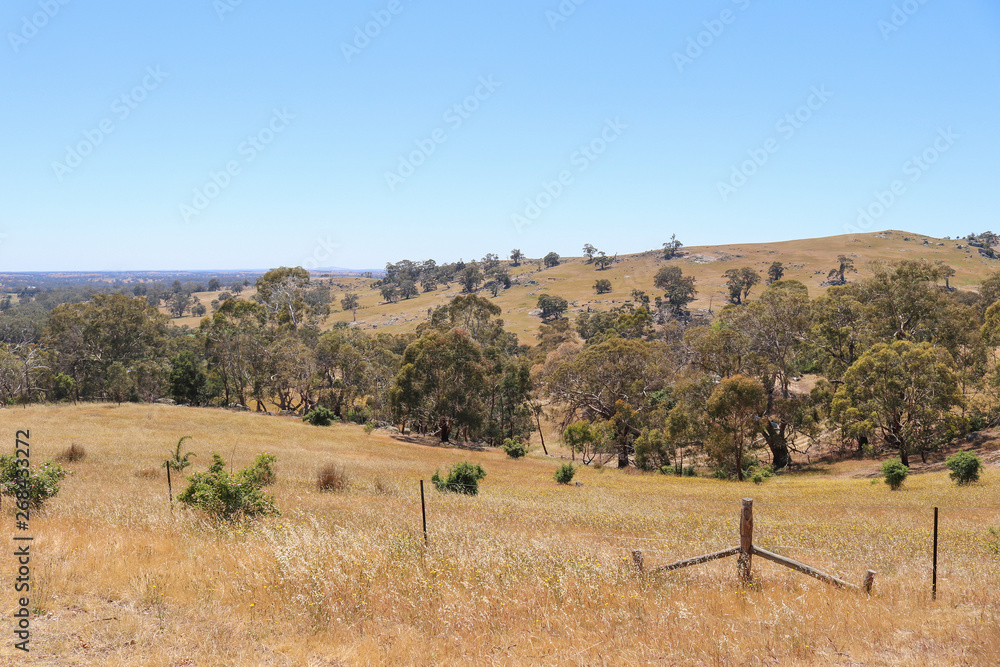 rolling hills looking over a valley of trees in rural Australia