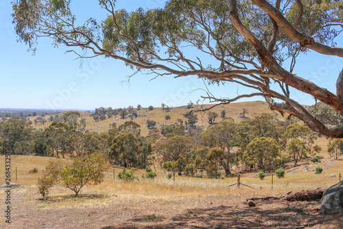 rural Australian view towards Sutton Grange valley in Central Victoria, Australia on a sunny day