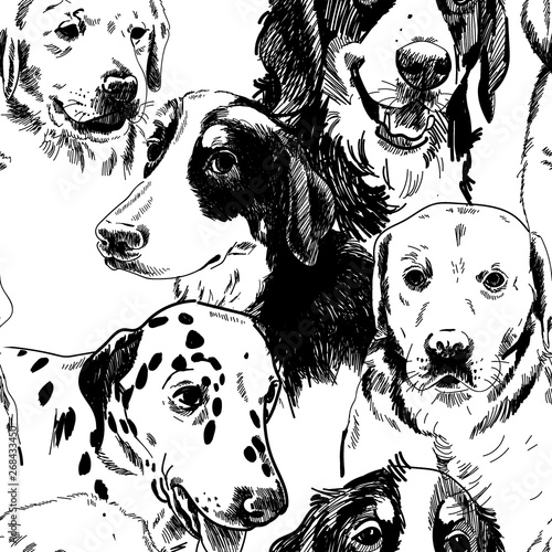 Seamless pattern with dogs. Dog breeds. Labrador Retriever, zinenhund. Drawing by hand in vintage style.