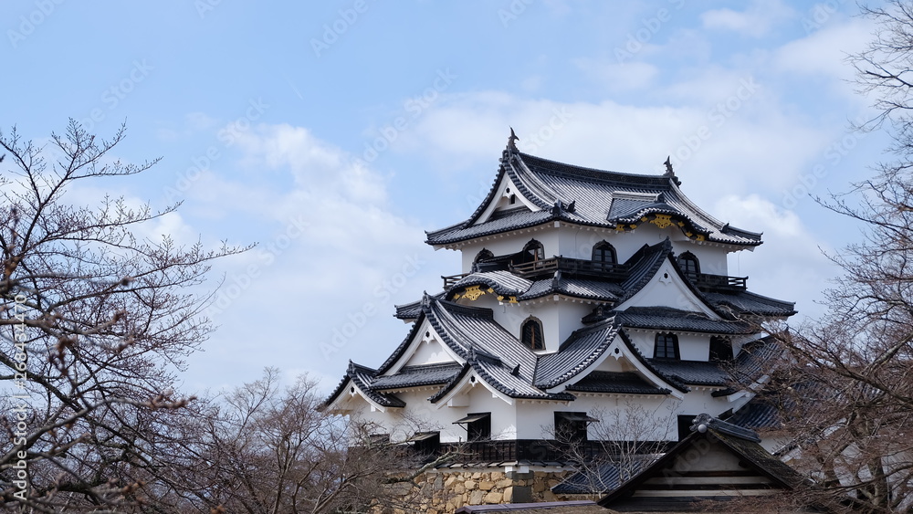 Fototapeta premium Hikone castle in japan