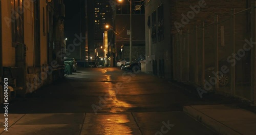 Establishing shot of a dark alleyway at night. Atmospheric 4K footage. Shot on a cinema camera in RAW. No discernible faces or logos.